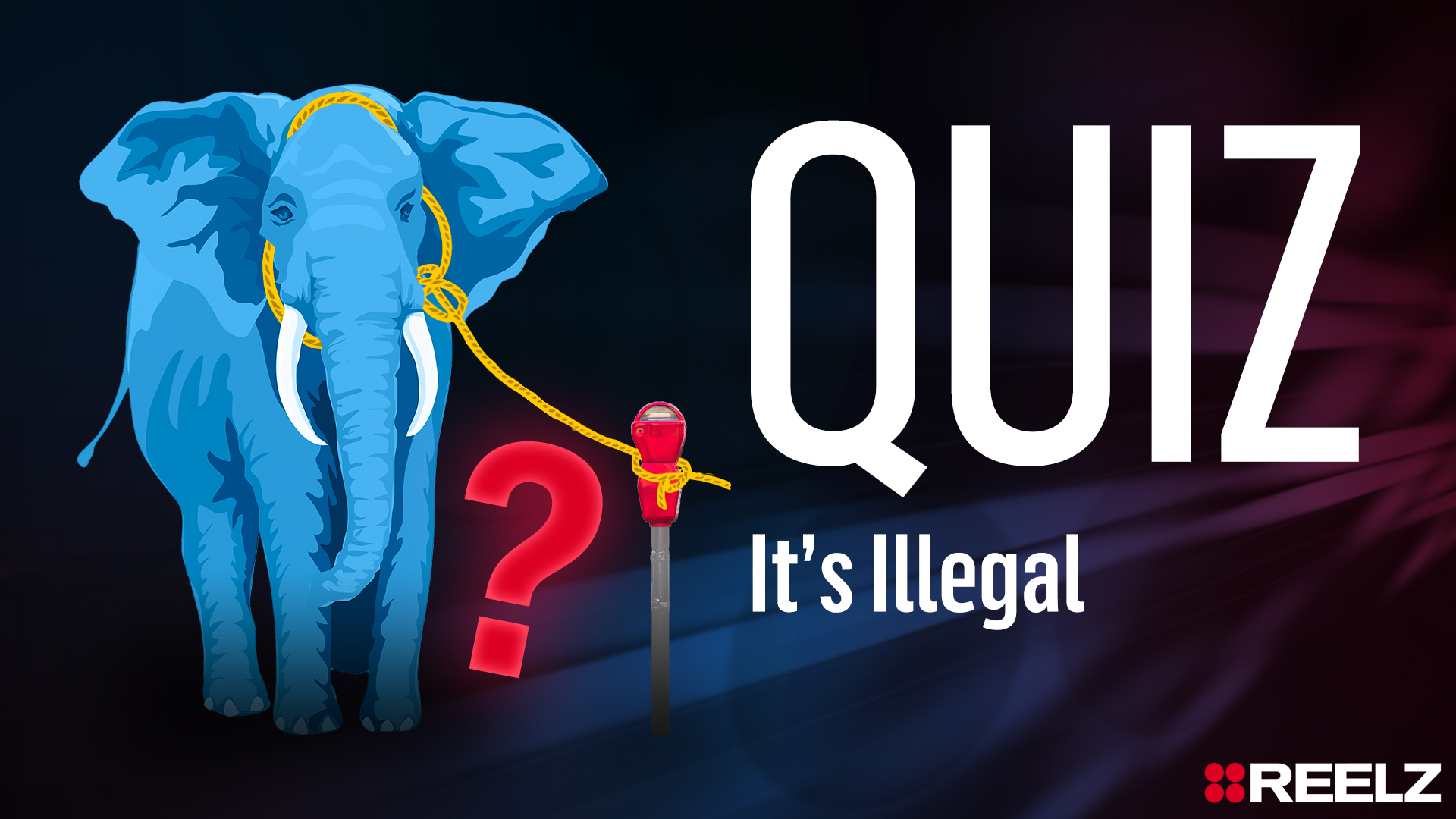Quiz: It's Illegal